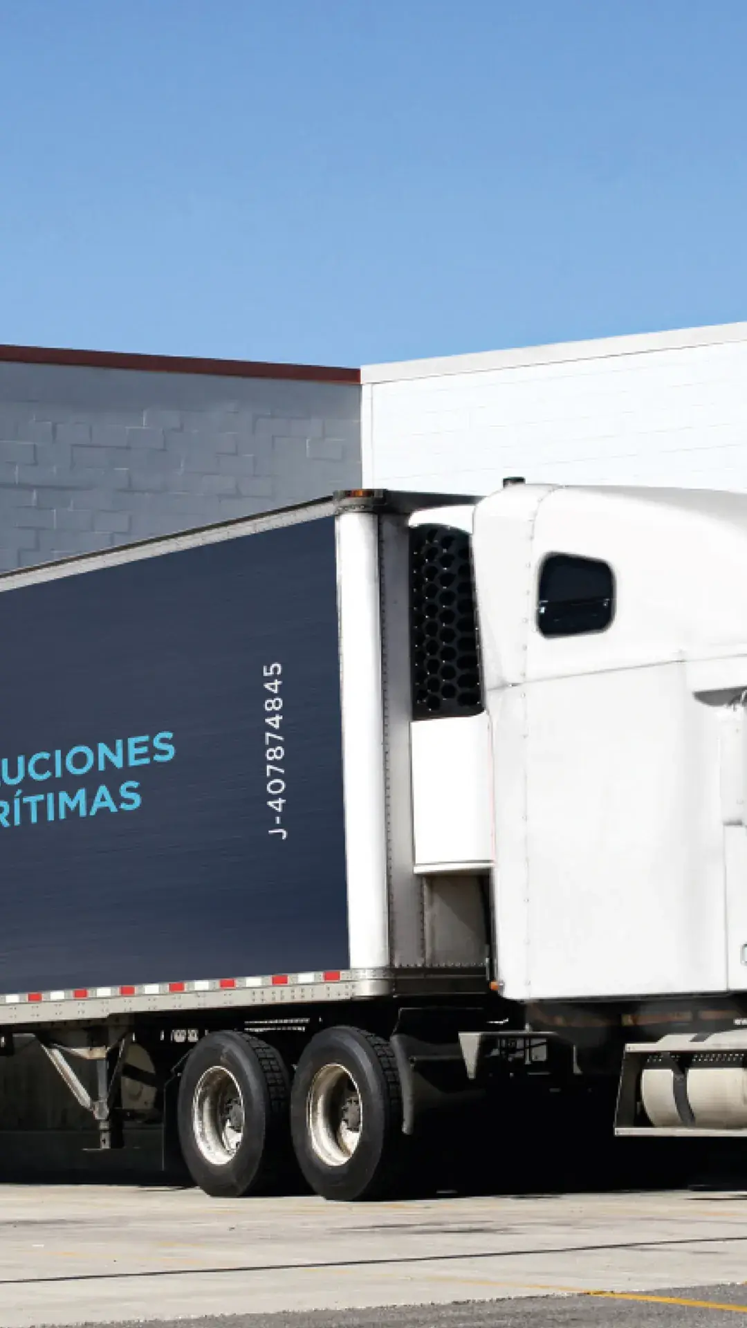 Trabajo de branding del portafolio de 1bite