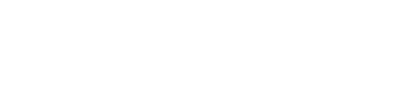 Item 4