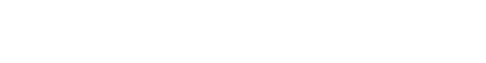 Item 1